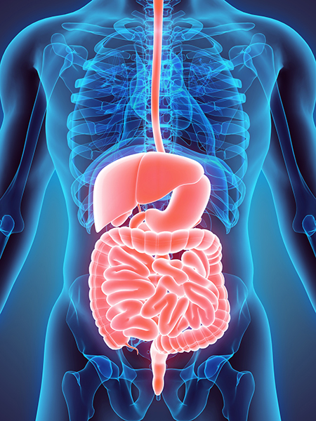 gastroenterologo y gastroentrologia avanzada red medica seguros metlife, gnp, axa, banorte, monterrey new york life, allinaz, inbursa, zurich, bbva seguros.